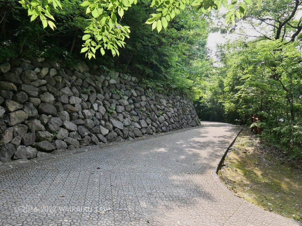 越前大野城 犬連れ