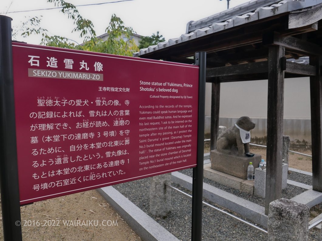 達磨寺 雪丸