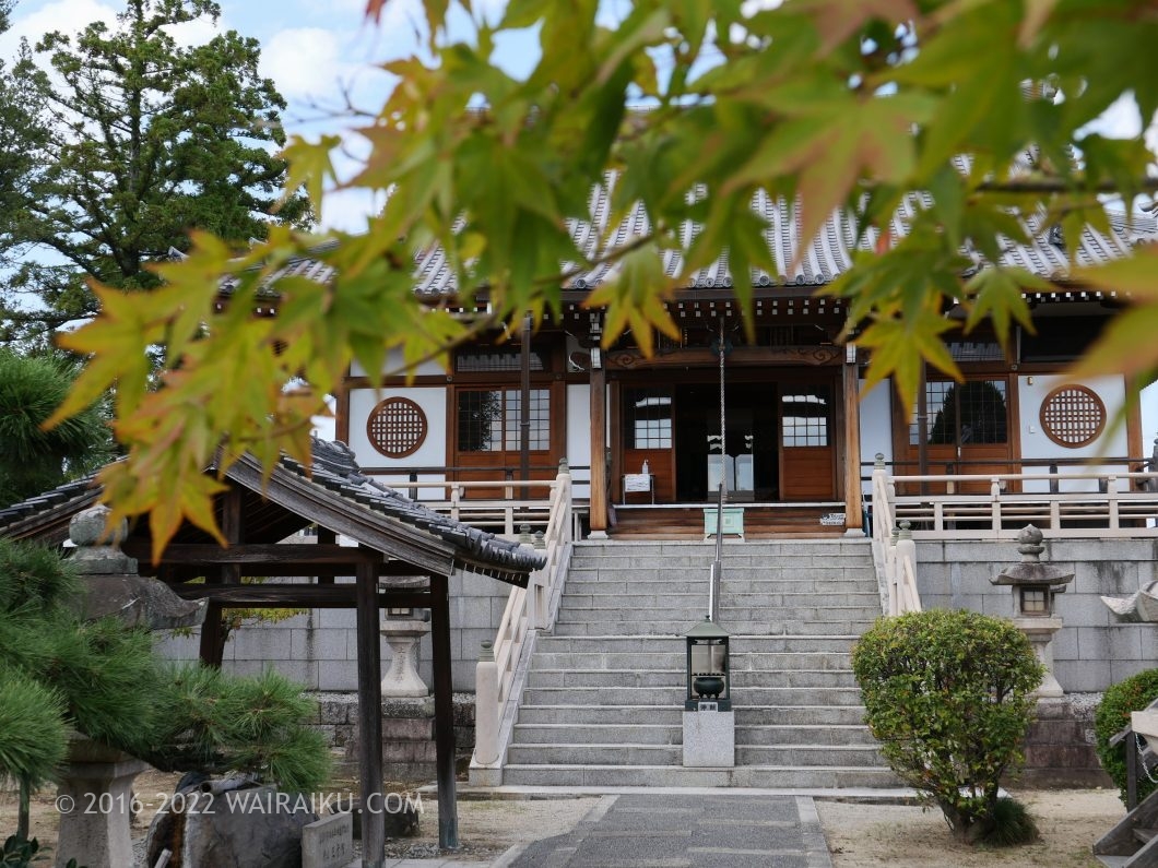 達磨寺 犬連れ