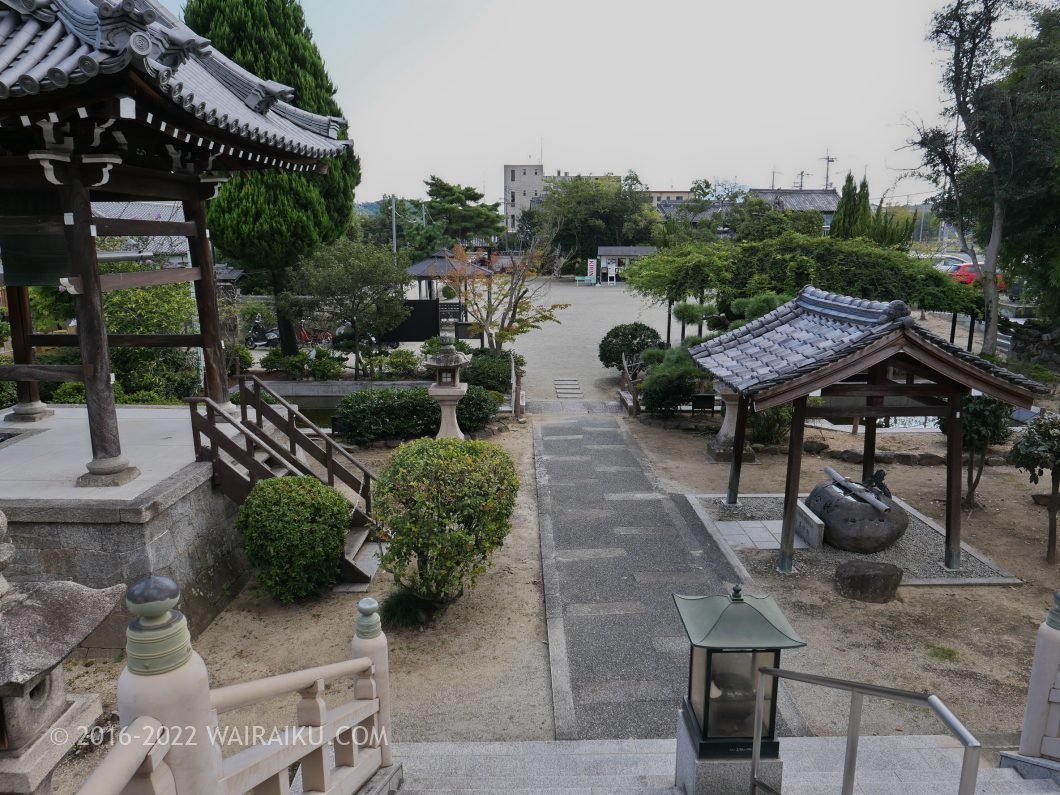 達磨寺 犬連れ