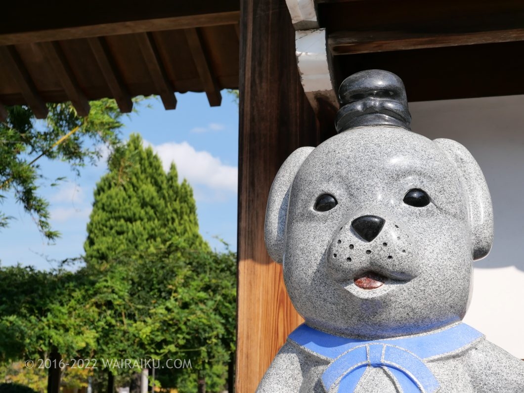 達磨寺 雪丸