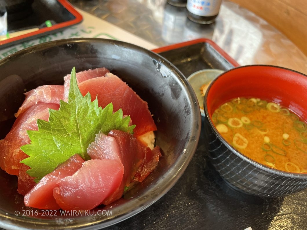勝浦漁港にぎわい市場 もち鮪