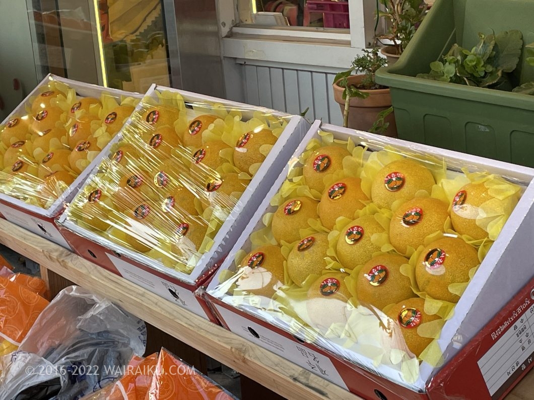 チェジュ島 みかん