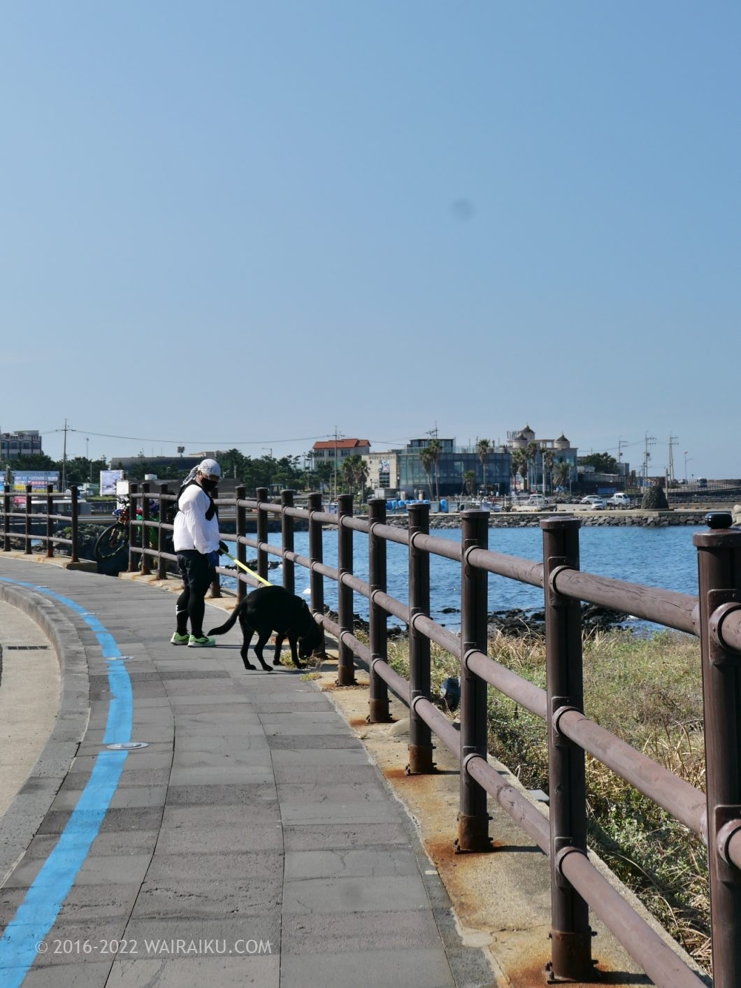 チェジュ島 オルレ17コース