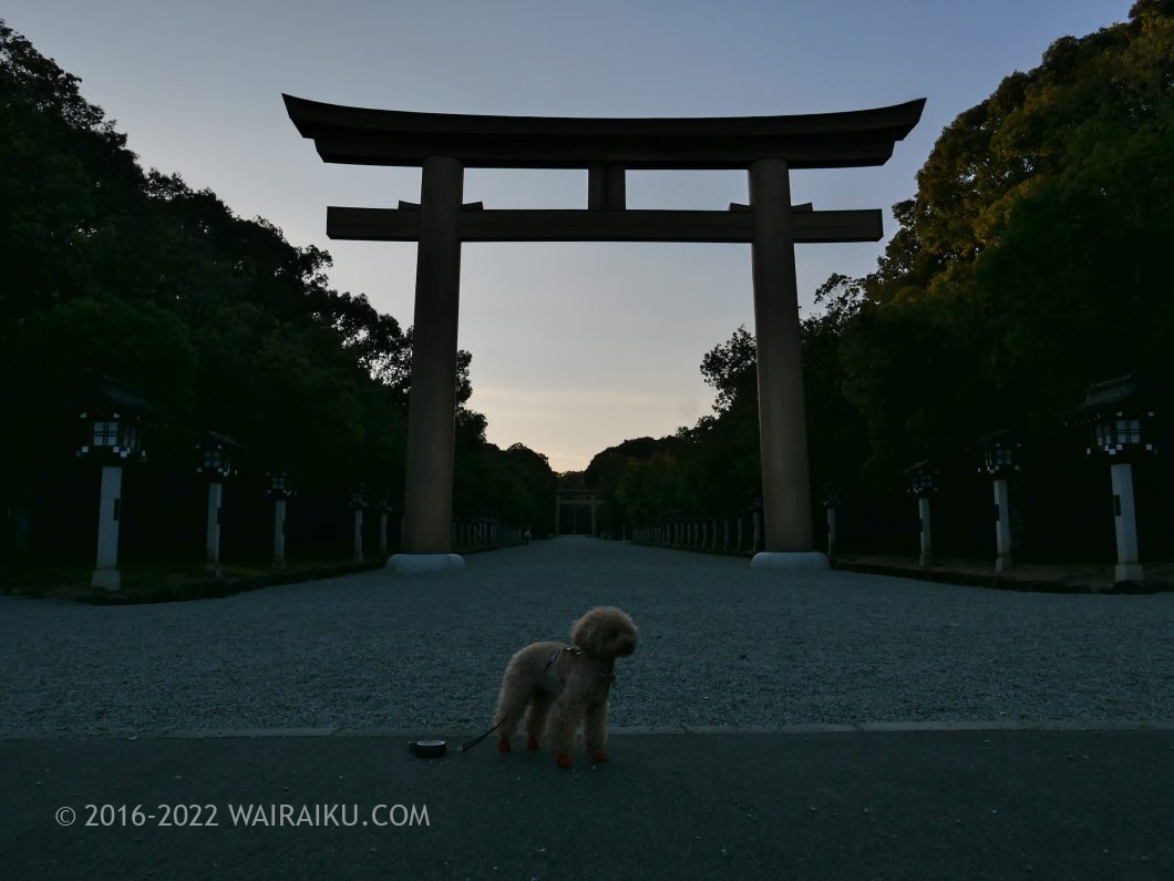 橿原神宮 犬連れ