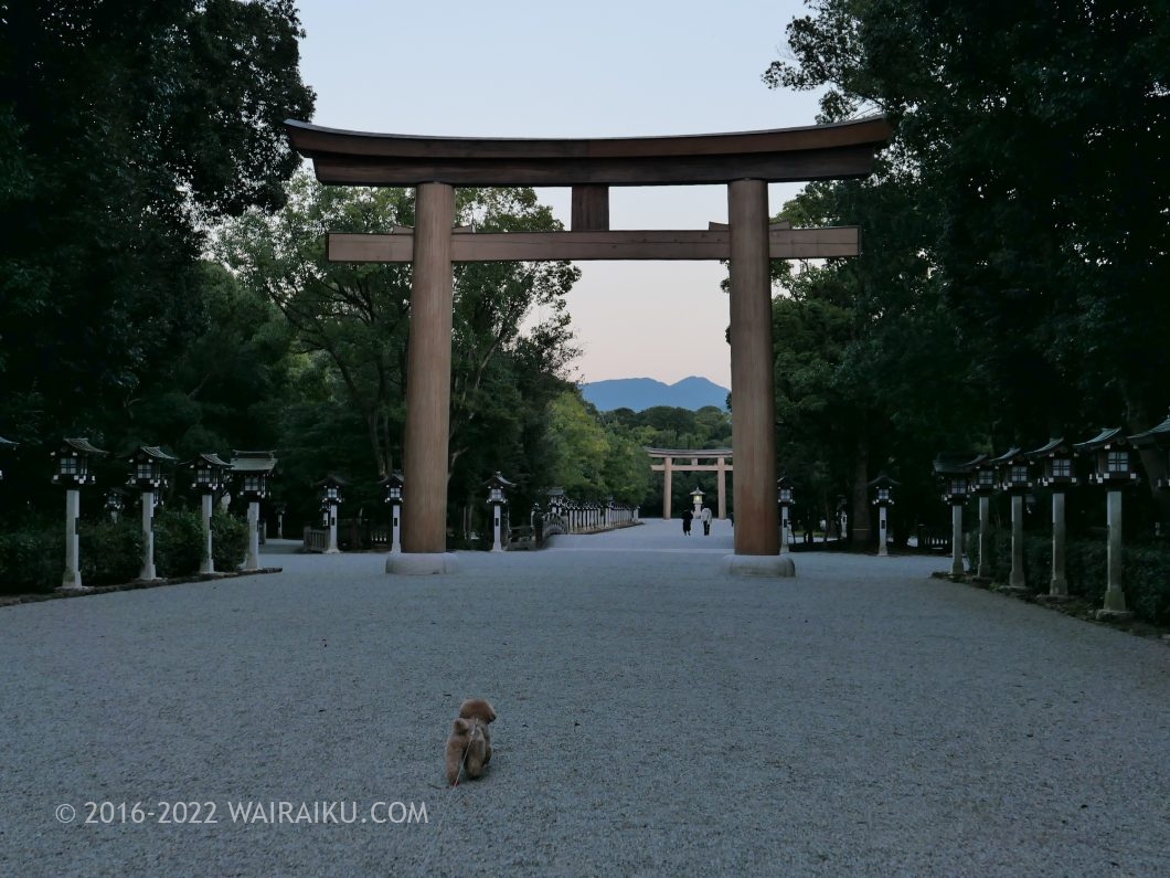 奈良県　犬とお出かけ　橿原神宮