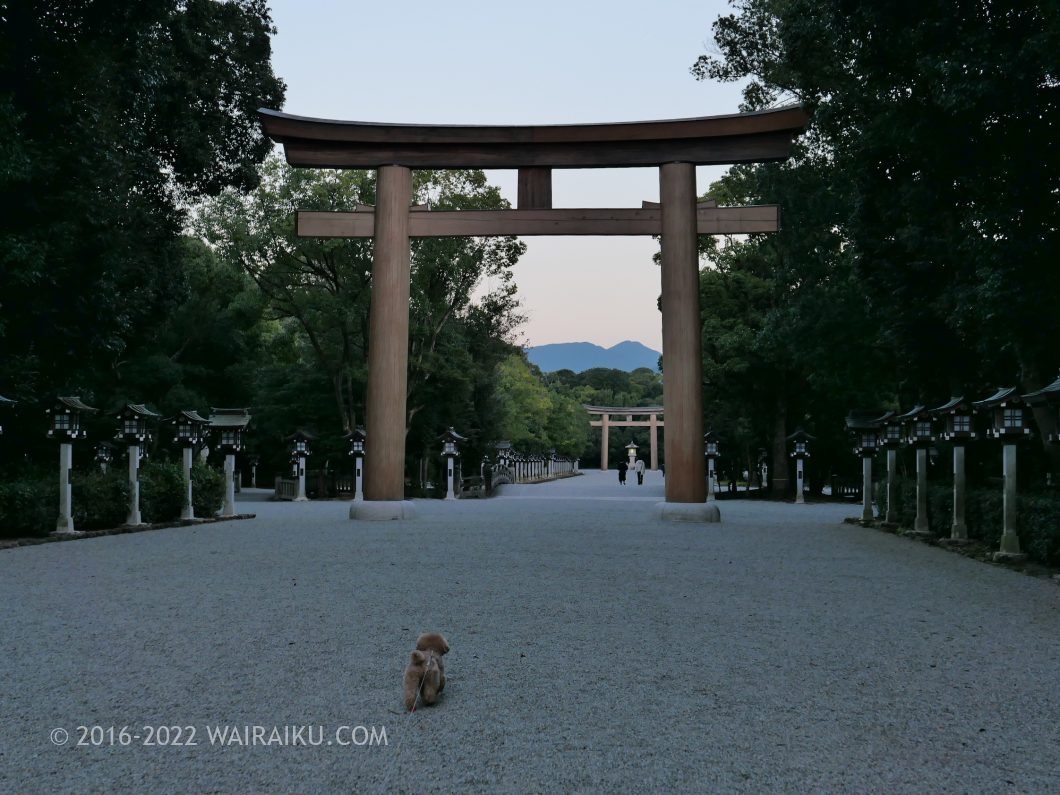 橿原神宮 犬連れ