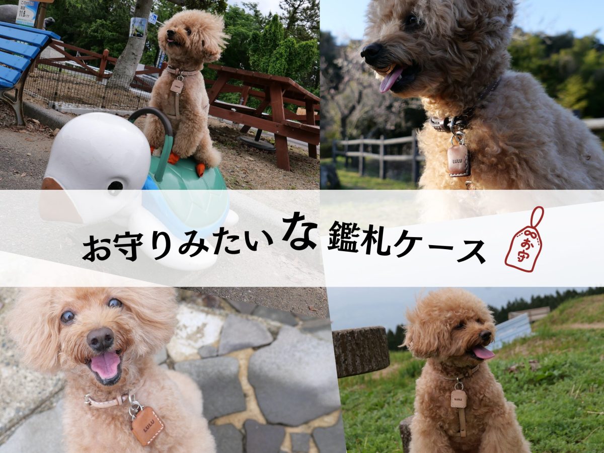 お守りみたいな鑑札ケース