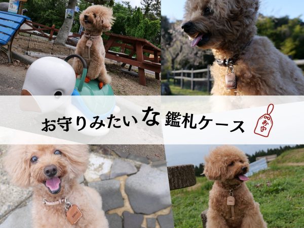 お守りみたいな鑑札ケース