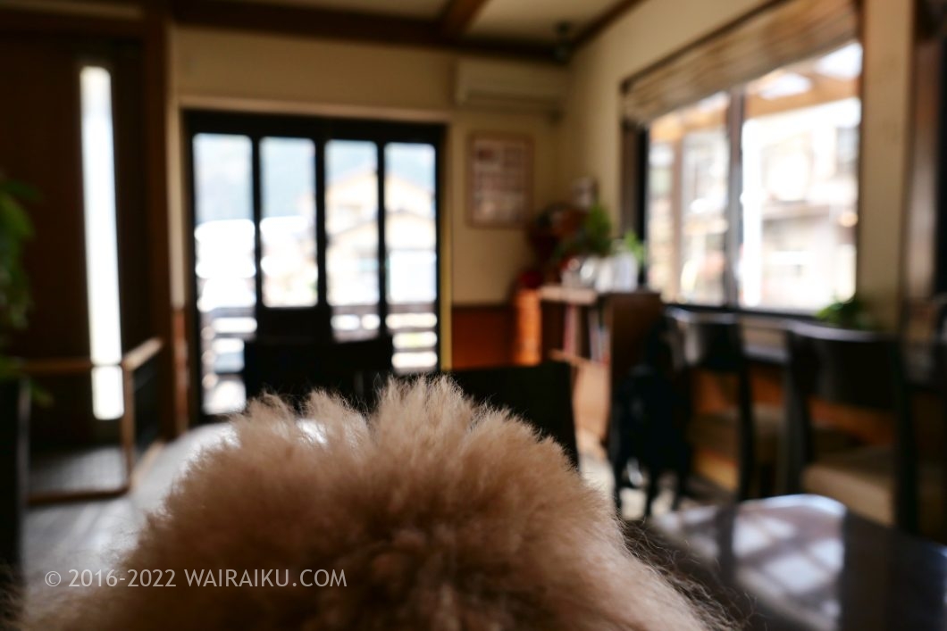 下呂温泉 ドッグカフェ わんモア