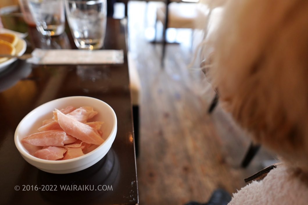 下呂温泉 ドッグカフェ わんモア