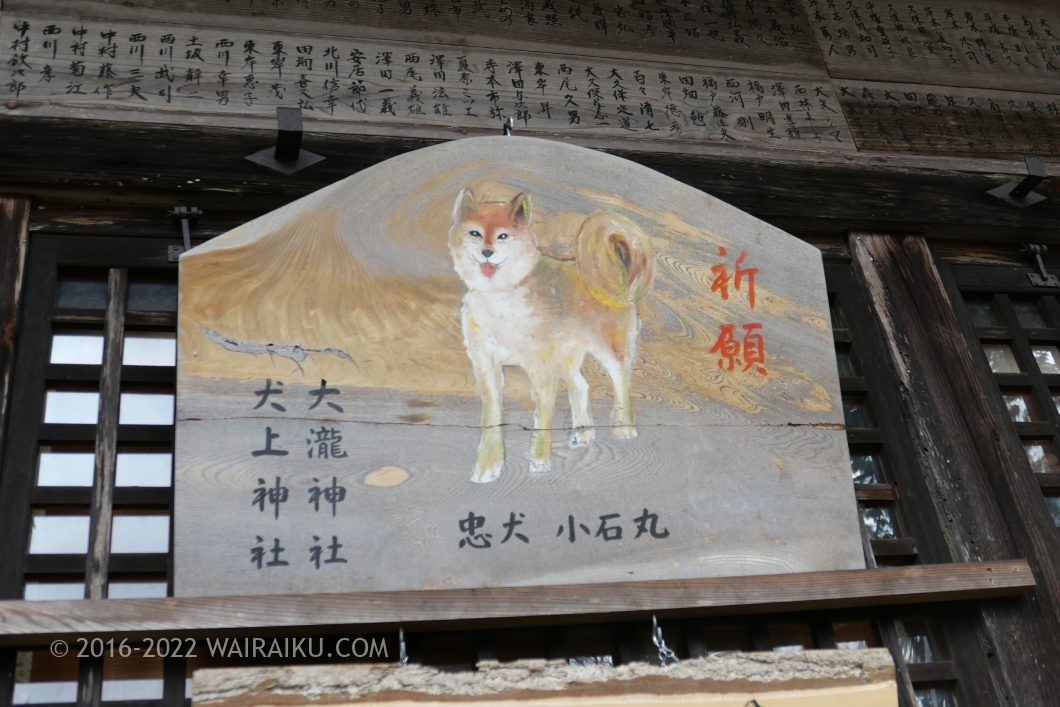 大瀧神社 犬連れ 多賀の三社参り