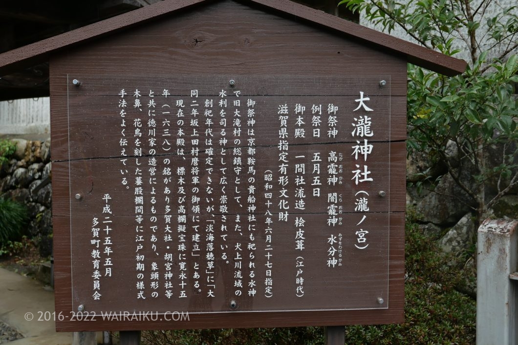 大瀧神社 犬連れ 多賀の三社参り