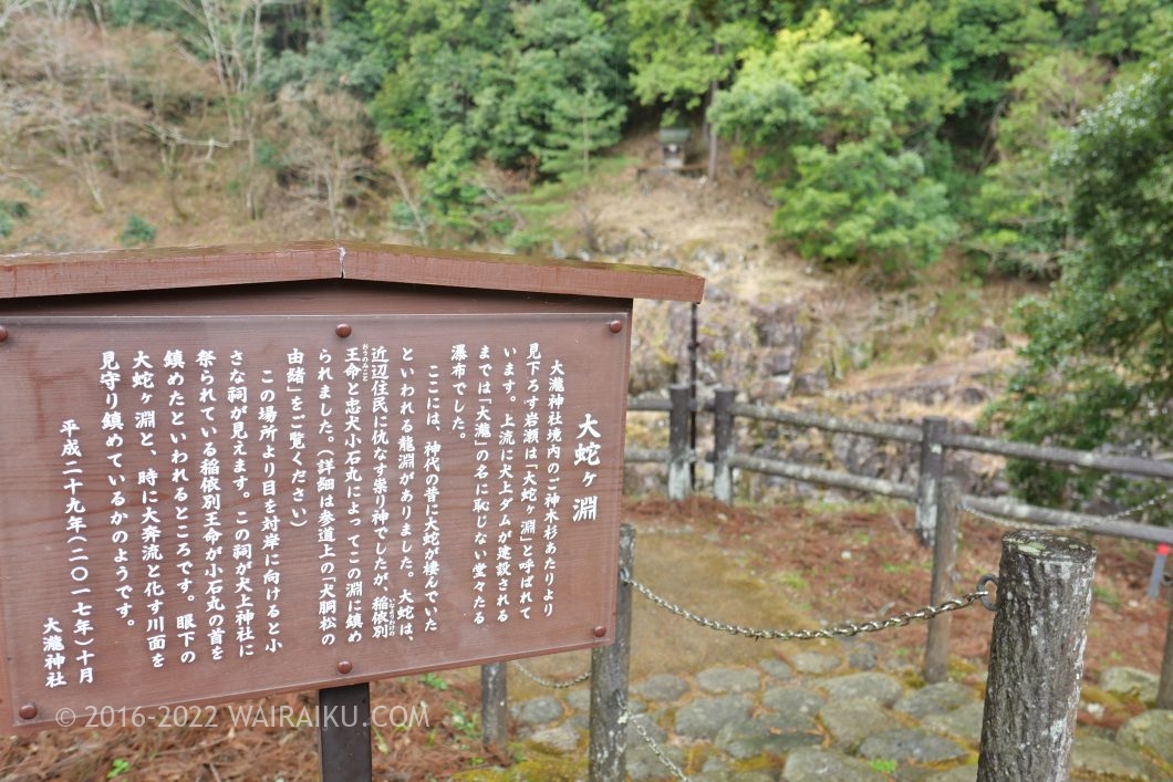 犬上神社 犬連れ 多賀の三社参り