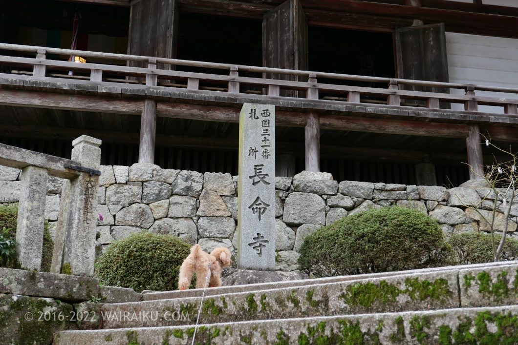 長命寺 犬連れ