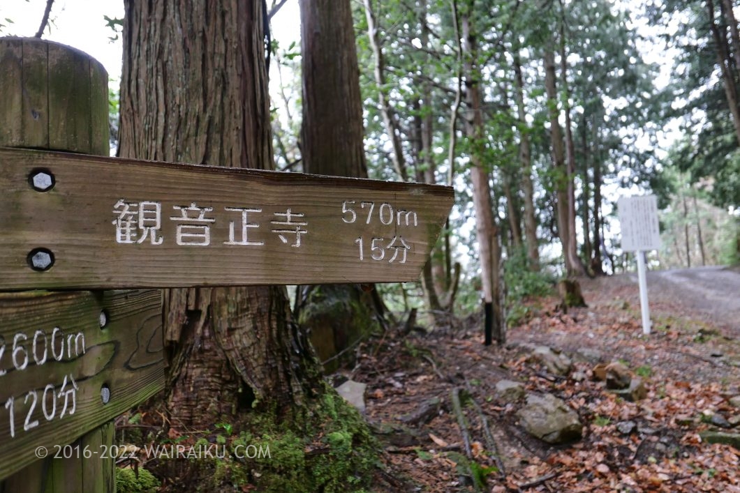 観音正寺 犬連れ