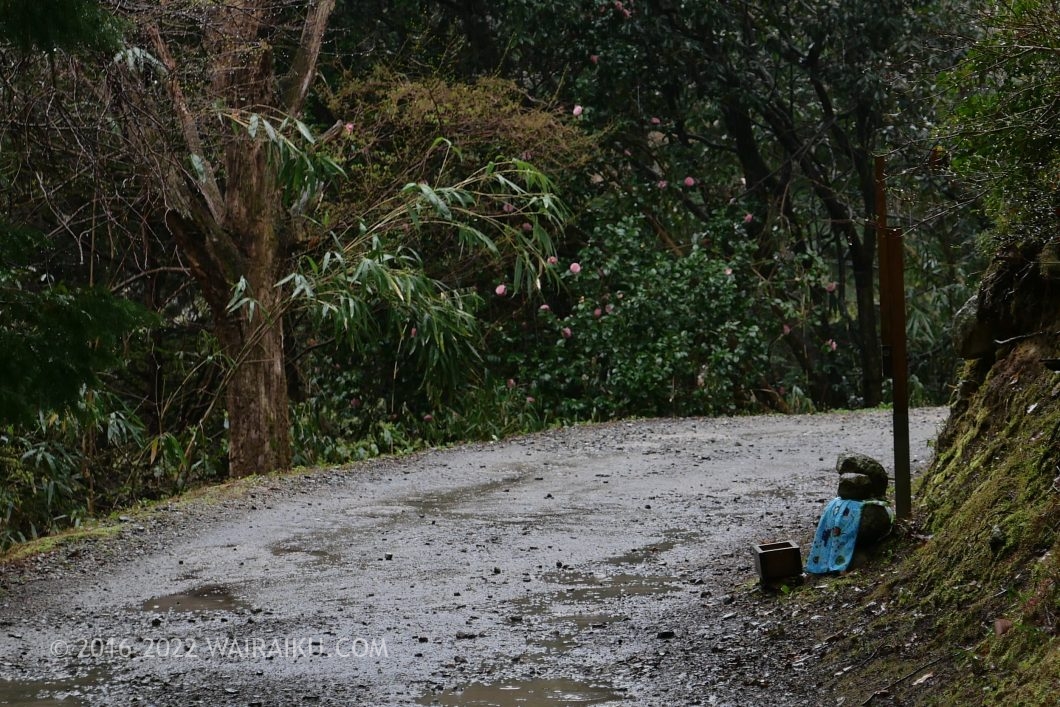 観音正寺 犬連れ