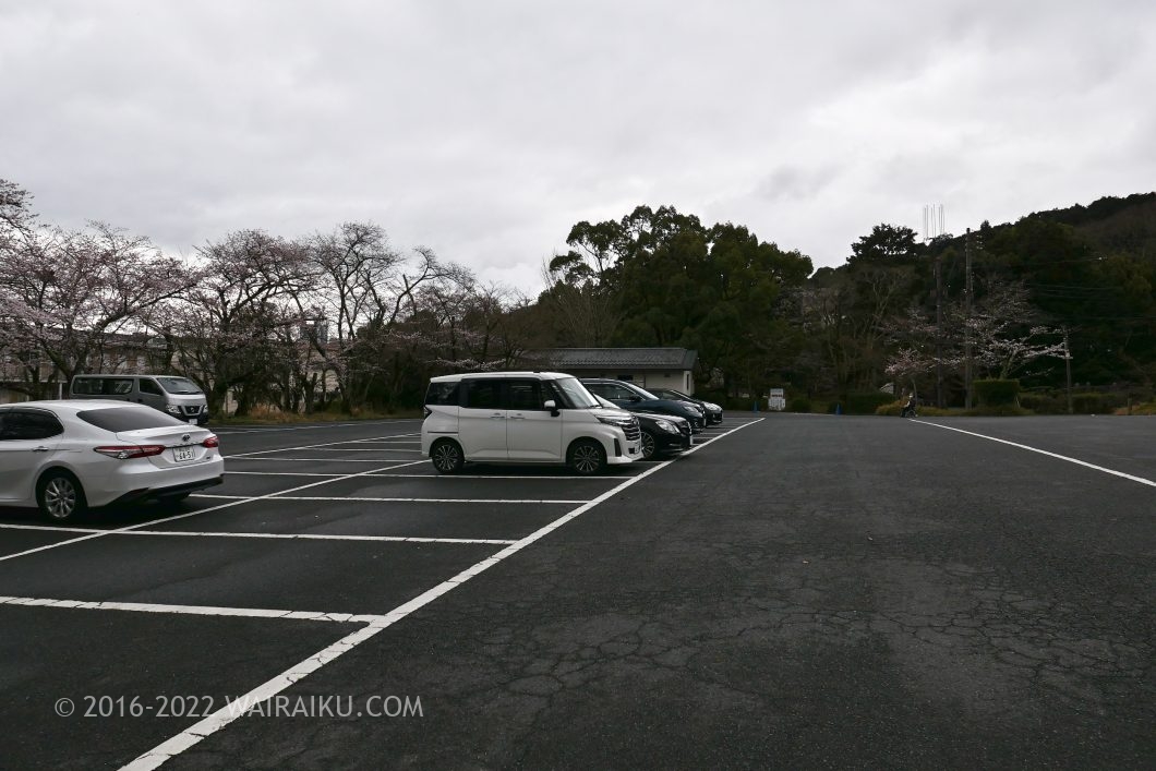三井寺 園城寺 犬連れ