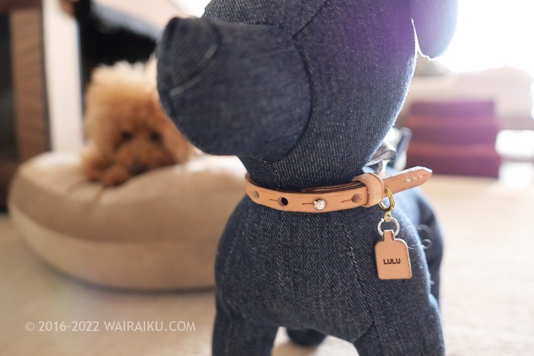 パピー用の首輪