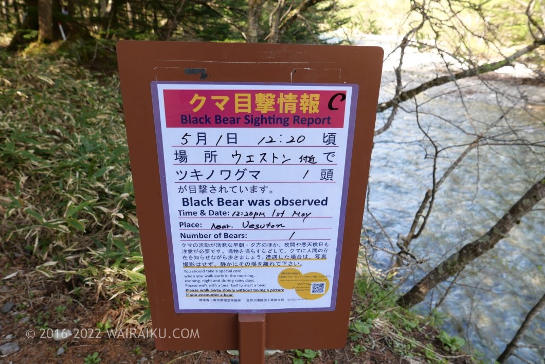上高地 日帰り 初心者ルート 河童橋から大正池
