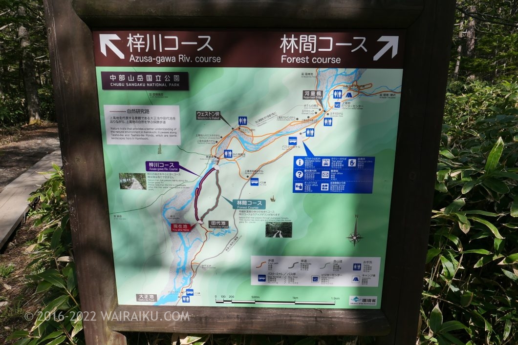 上高地 日帰り 初心者ルート 河童橋から大正池