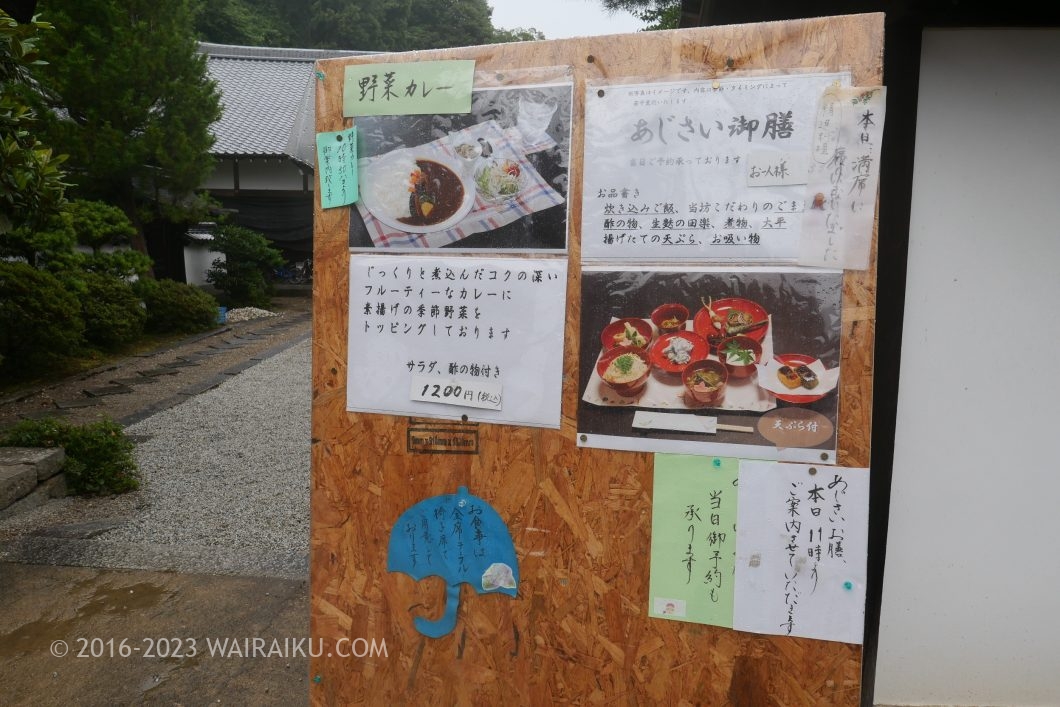 矢田寺 犬 あじさい