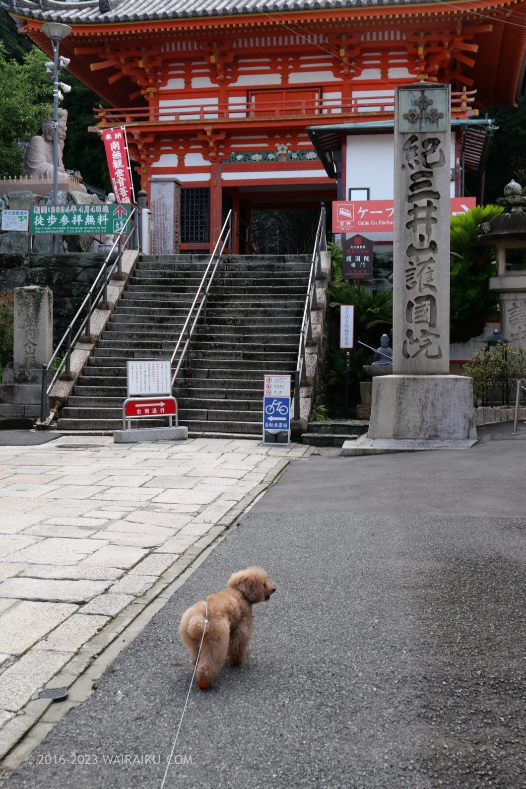 紀三井寺 犬連れ