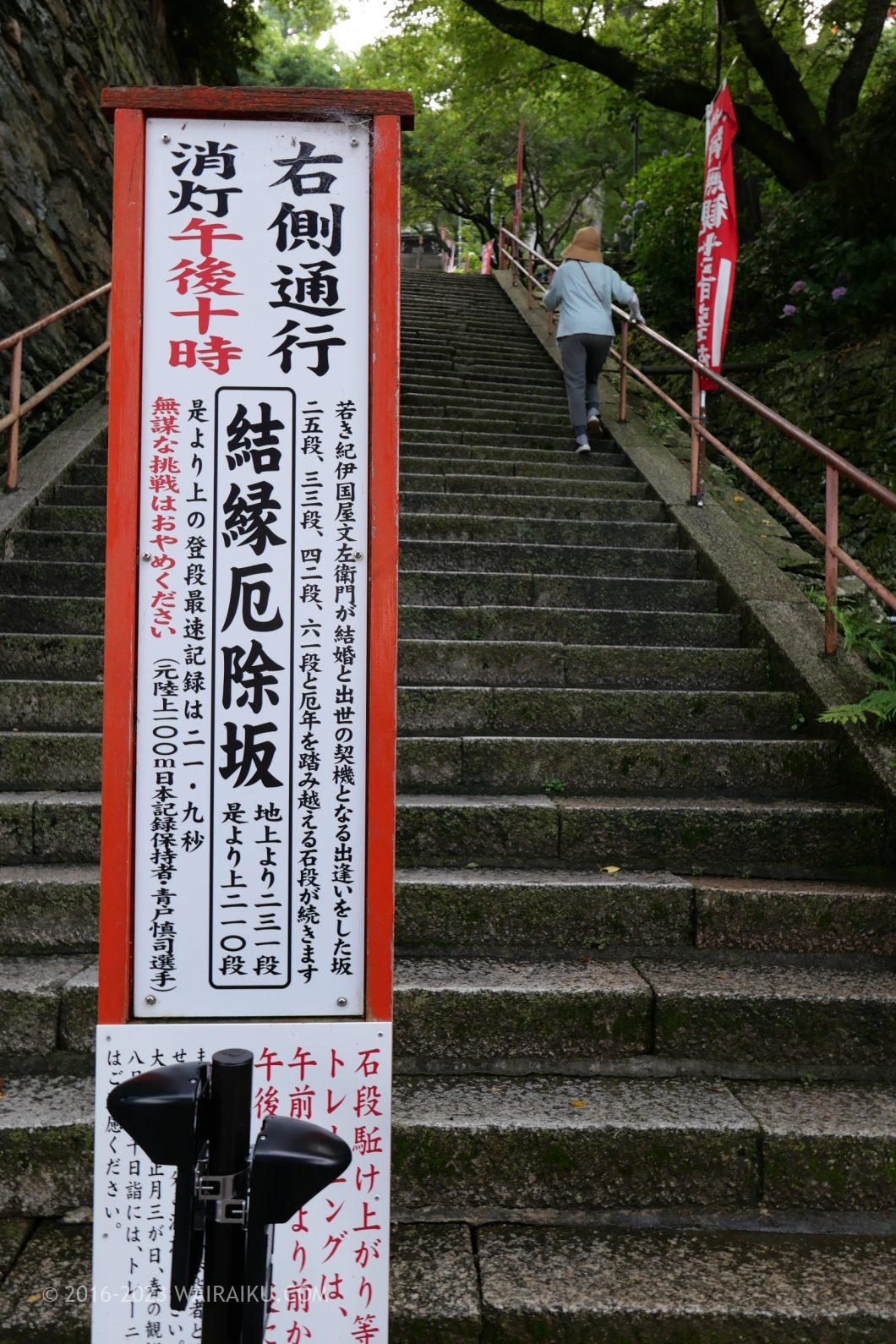 紀三井寺 犬連れ