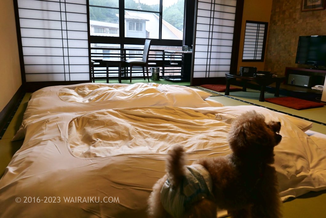 湯快リゾート プラスワン 湯村温泉 三好屋 犬連れ