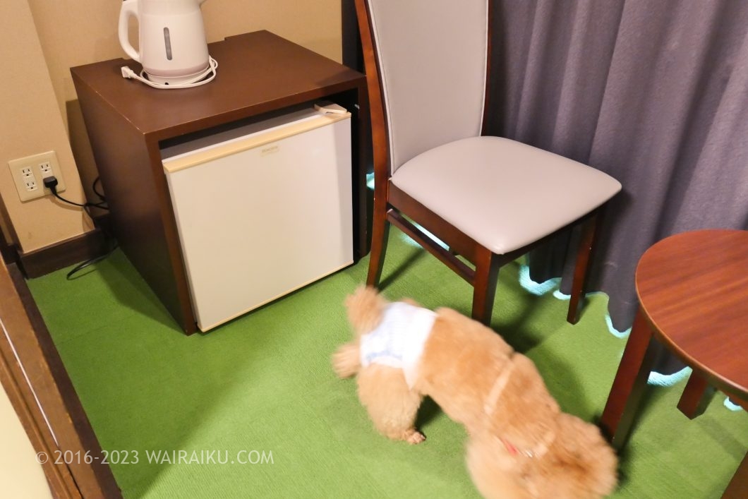 湯快リゾート プラスワン 湯村温泉 三好屋 犬連れ