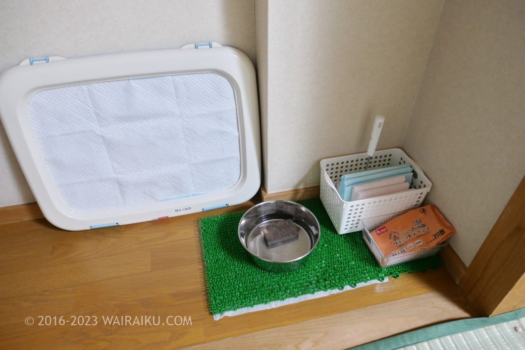 京丹後 ペットと泊まれる宿 弁天館