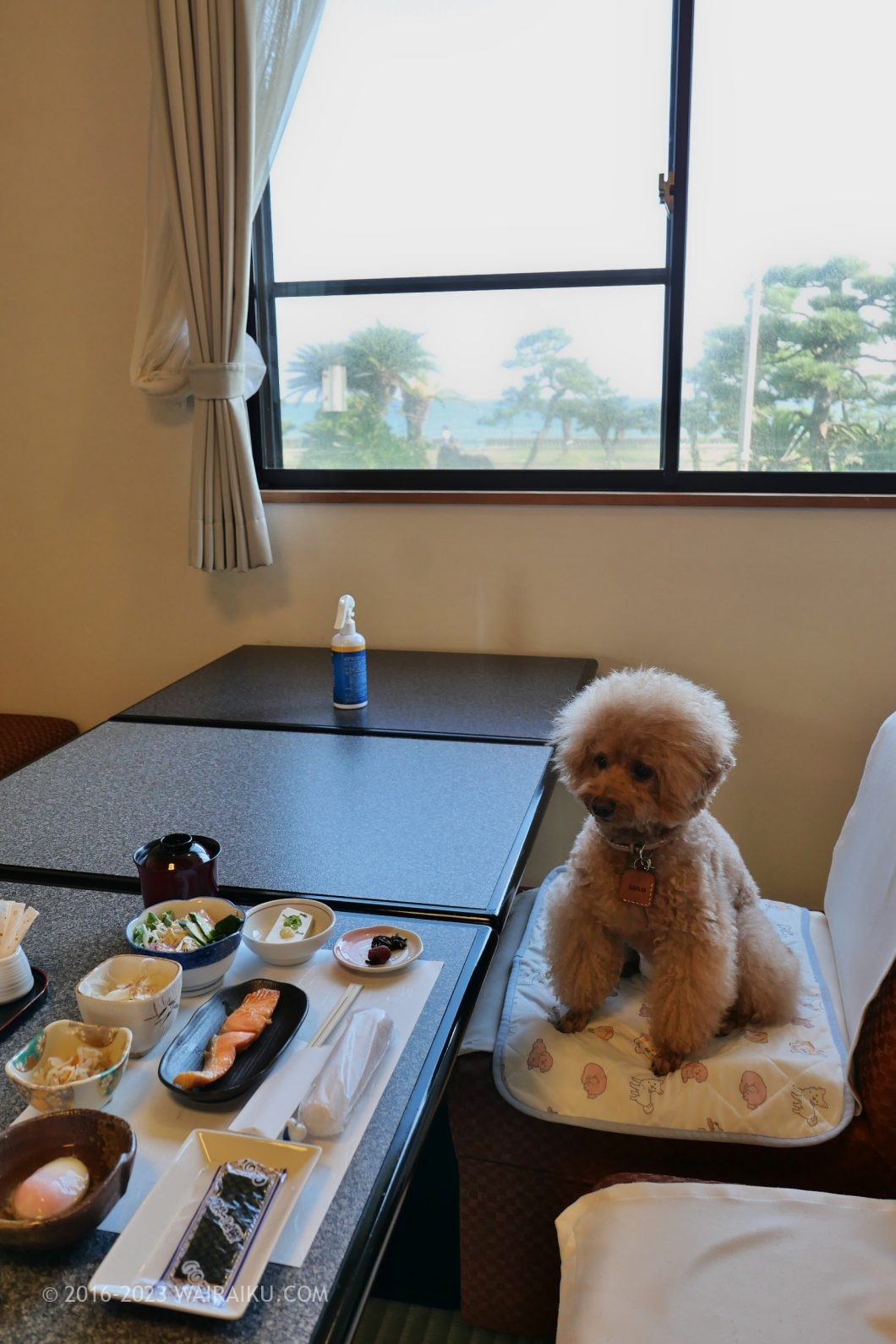 京丹後 ペットと泊まれる宿 弁天館