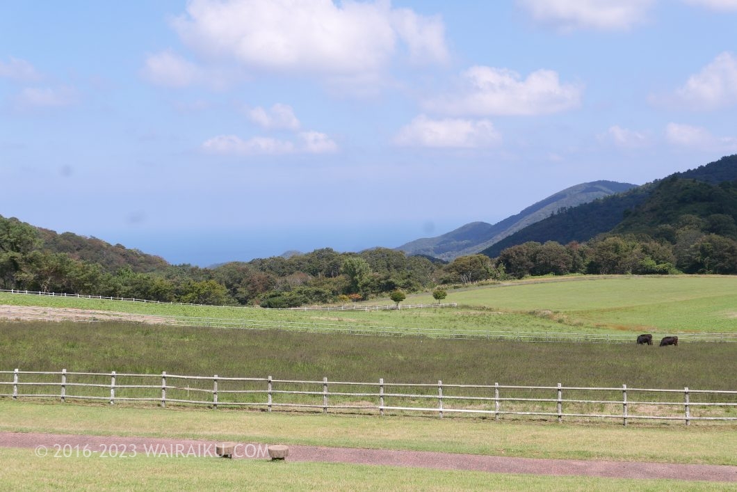 碇高原牧場