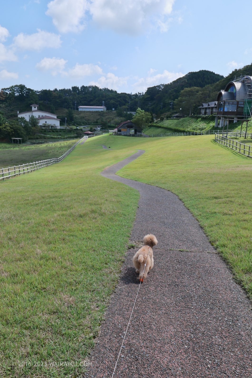碇高原牧場