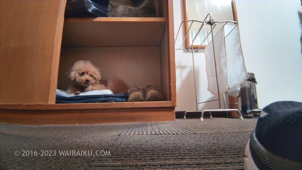 持ち運びできる 見守りカメラ