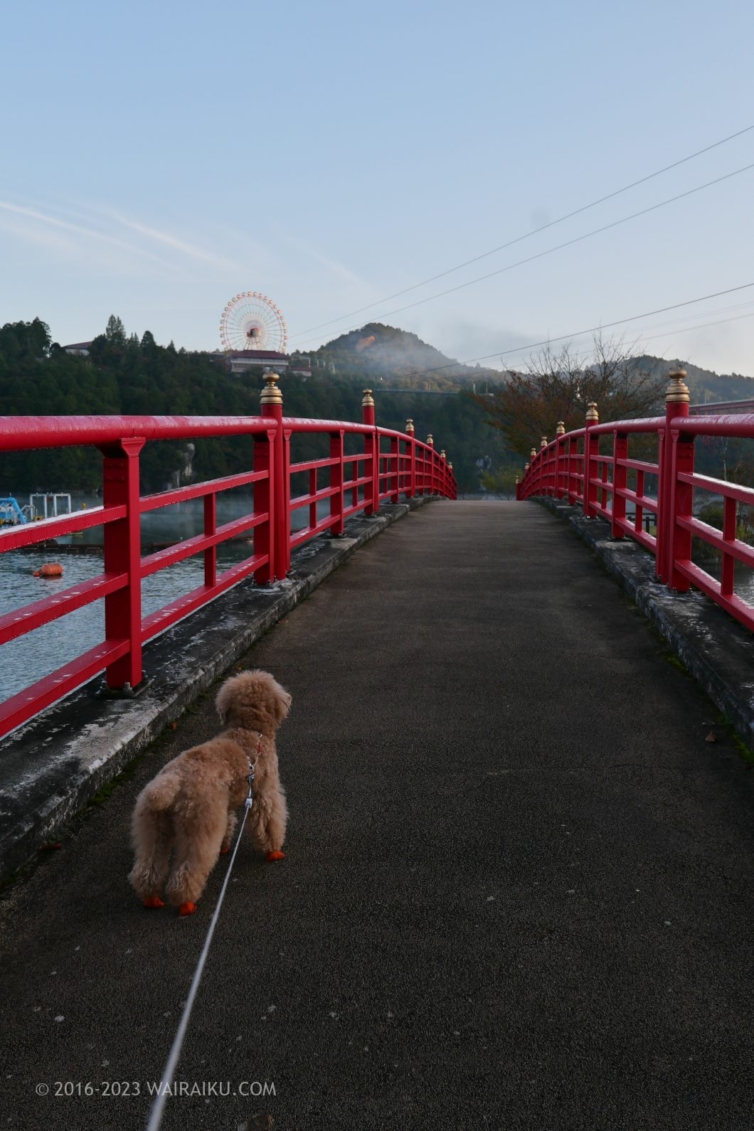 恵那峡公園 犬連れ