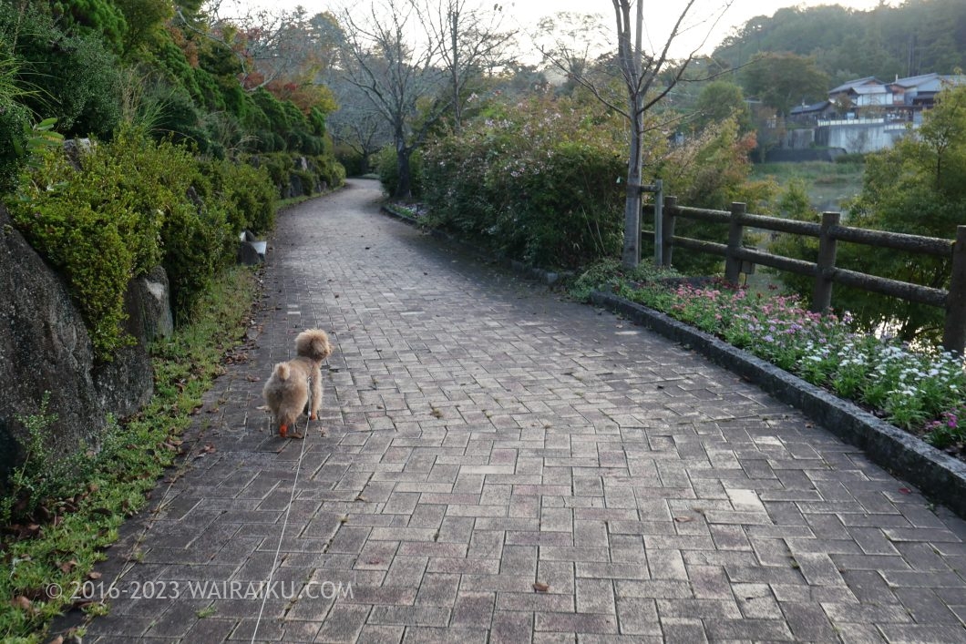 恵那峡公園 犬連れ
