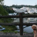 湯快リゾートプレミアム 恵那峡国際ホテル 犬連れ