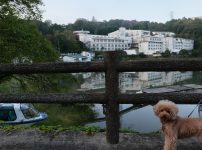 湯快リゾートプレミアム 恵那峡国際ホテル 犬連れ