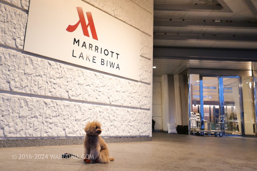 琵琶湖マリオットホテル　犬連れ