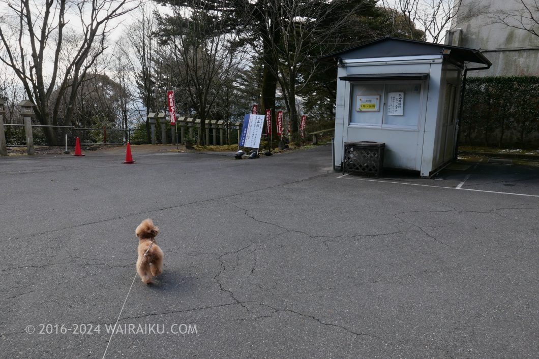 岩間寺 犬連れ
