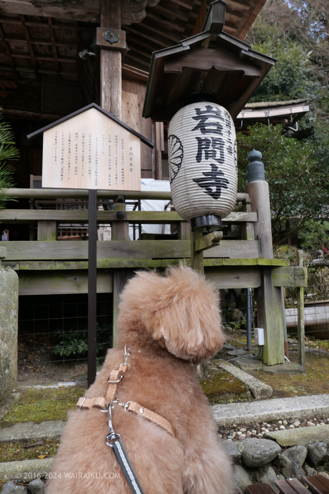 岩間寺 犬連れ