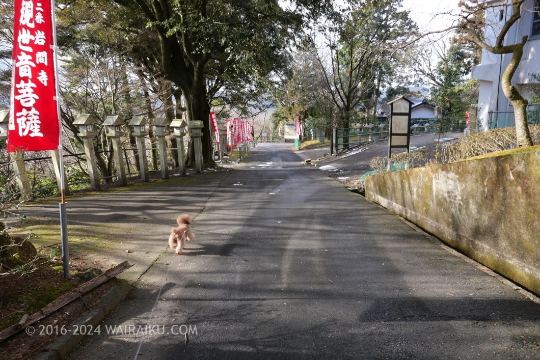 岩間寺 犬連れ
