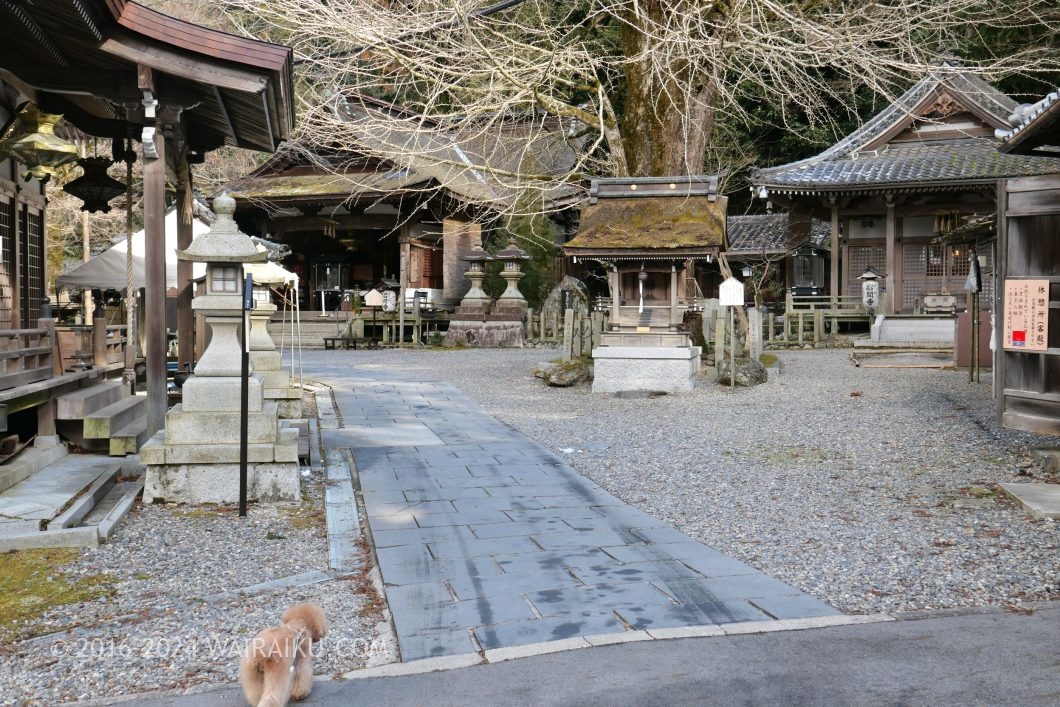 岩間寺 犬連れ