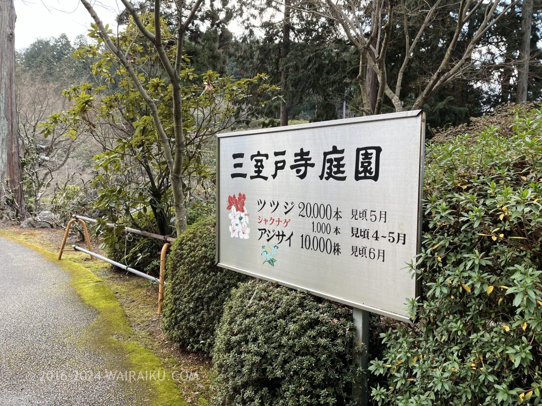 三室戸寺庭園 見ごろ