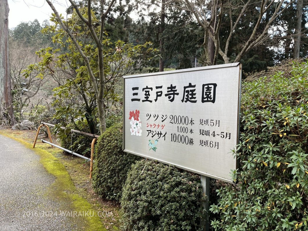 三室戸寺庭園　見ごろ