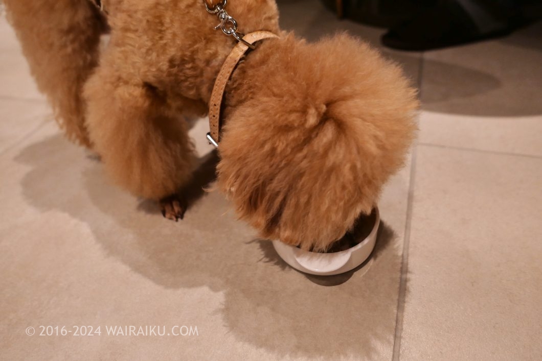 Rakuten STAY TERRACE 箱根小涌谷 ペットフレンドリールーム