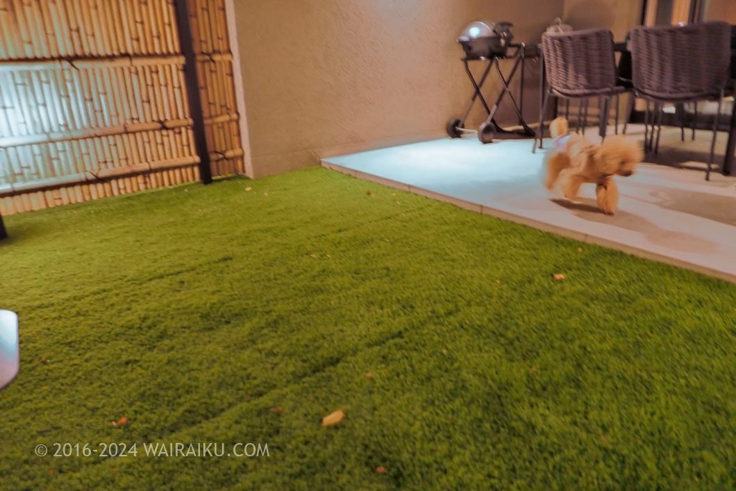 Rakuten STAY TERRACE 箱根小涌谷 ペットフレンドリールーム ドッグラン