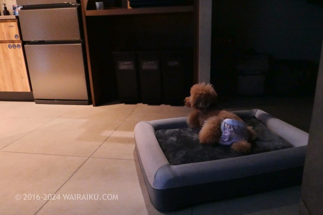 Rakuten STAY TERRACE 箱根小涌谷 ペットフレンドリールーム