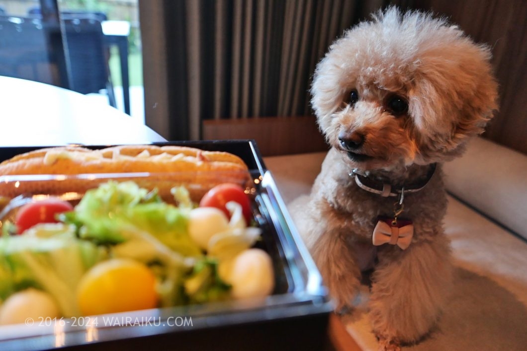 Rakuten STAY TERRACE 箱根小涌谷 ペットフレンドリールーム 朝食
